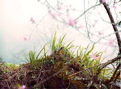 玺标标准物质中心