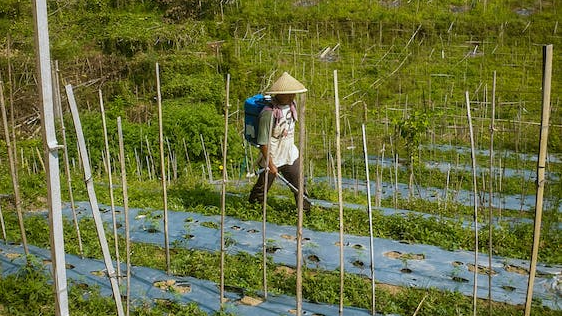 玺标标准物质中心