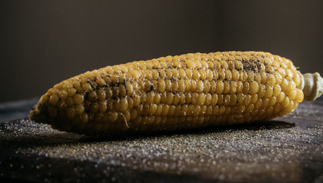 玺标标准物质网