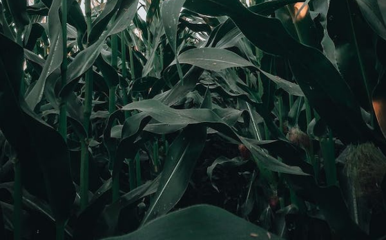 玺标标准物质网